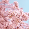 🎀璇🎀