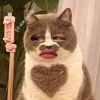 TH_chanok