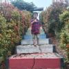 Rini