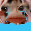 อิ'อ ง่าว'ว อิ'อ ง่าว'ว