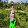 Dian