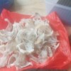 Cecep Suanda