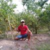 Rusdyanto Jmb Fruits