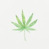 Wasabi weed