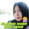 Anisa Syakila