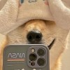 Dawnn