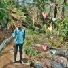 Aliey_