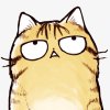 方兄🐯