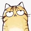 方兄🐯
