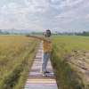 Sisura Thura