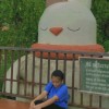 jiji
