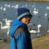 Alif Farhan