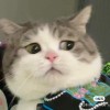 Mimi