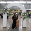 Milla Aridha IE