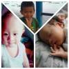 ลูกหมา สามตัว
