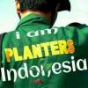 Daniel Iswanto