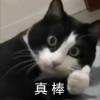 南乾.