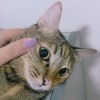 Candy Fahsai