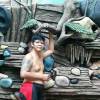 hary art