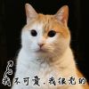 文嘉慧