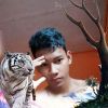 Rafi Bastur