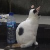 keluargapy@gmail