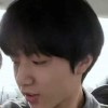 18楼崽崽