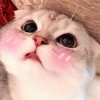 lee_juyoung🌈
