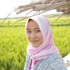 hana