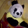 Putri love Tio