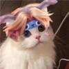 吴文康😎