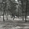 sfqsyafiq