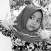 Puput,-