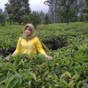 Momy Yah Fado
