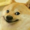 HK_DOGE