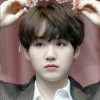 Mimi:เมน suga