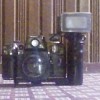 ايذي ١٦