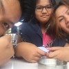 Erlin