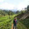 Faiz Rizky