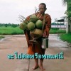 ชาย กิตติศักดิ์