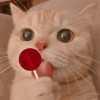 Pang