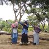 Fajar Puji Lestari