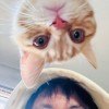 xxxibiye