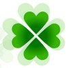 🍀四叶草🍀