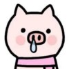 PiggyHead