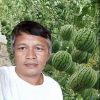 Molet Anggoronggang
