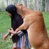 ayub