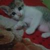 Mamath Eneng