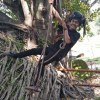 Nur Rohman Musyaddad