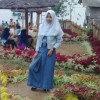 anisfadhilah
